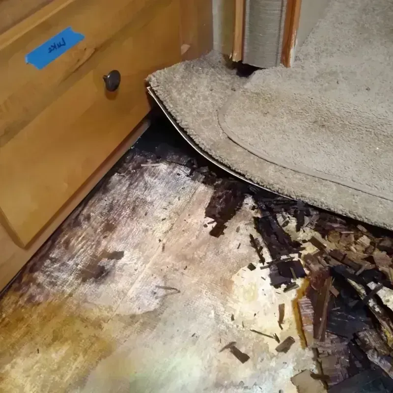 Wood Floor Water Damage in Putnam County, MO